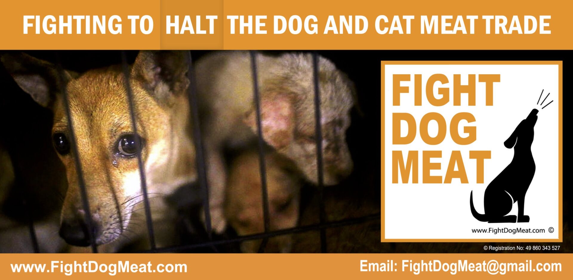 www.FightDogMeat.com, pet centric