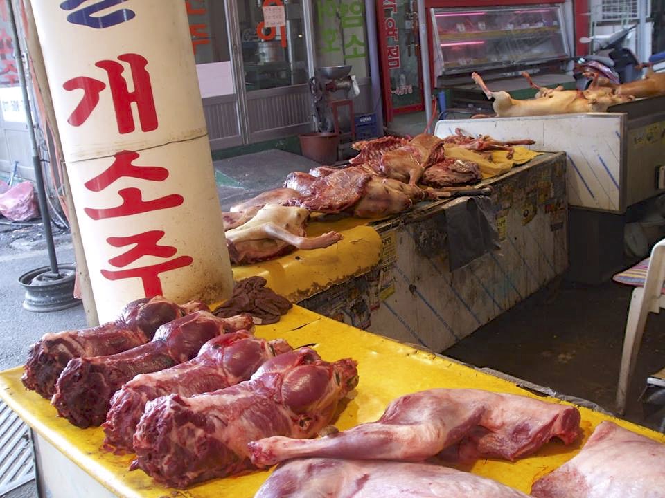 Butchers Food For Cats Butchers Food For Cats