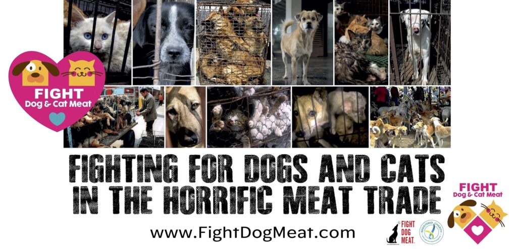 www.FightDogMeat.com, pet centric, Fight Dog Meat, fightdogmeat