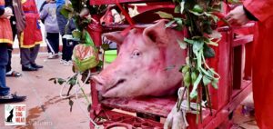www.FightDogMeat.com, pet centric, Fight Dog Meat, fightdogmeat