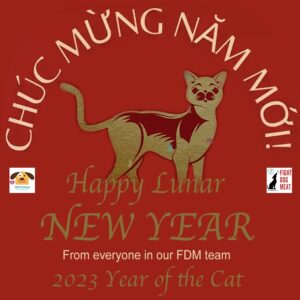 New Year / VietNam / Cat