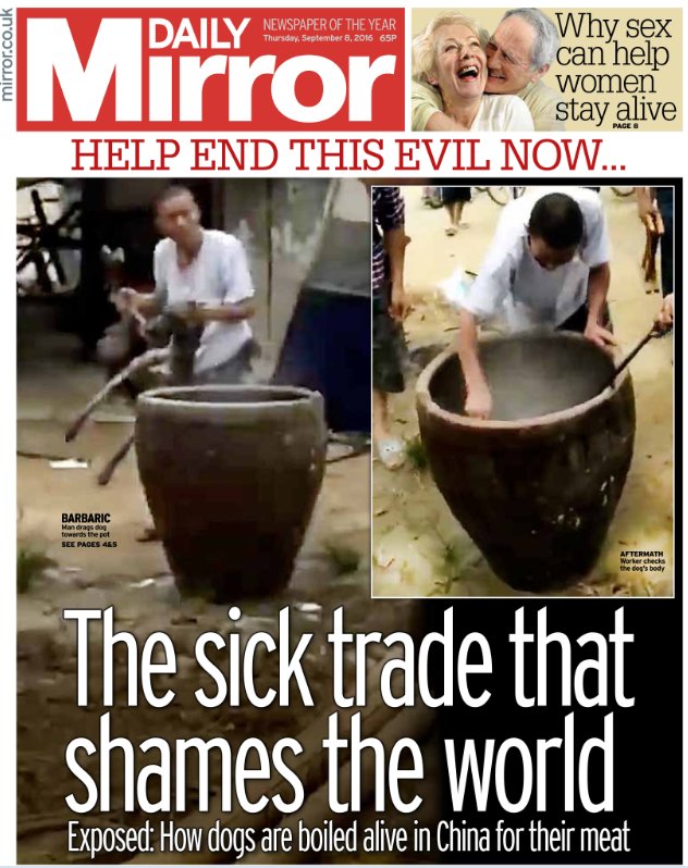 THE DAILY MIRROR NEWSPAPER UK, FEATURING FIGHT DOG MEAT