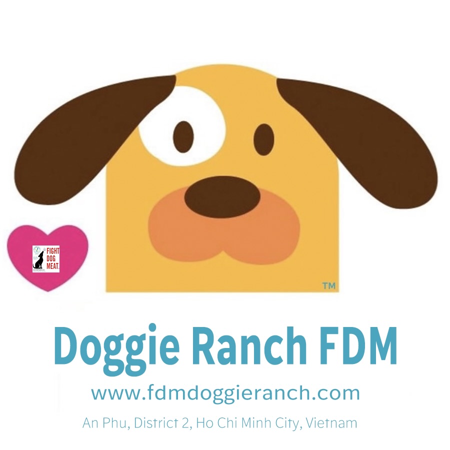 FDM